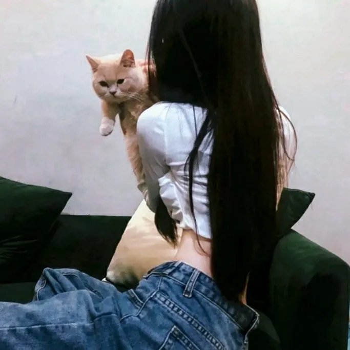神捕铁飞花之冤冤相报